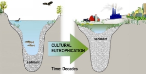 CulturalEutrophication.jpg