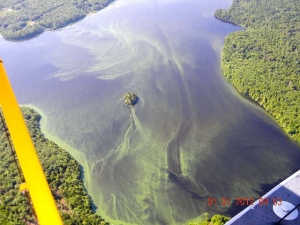 July 1_2012 Carleton Lake.jpg