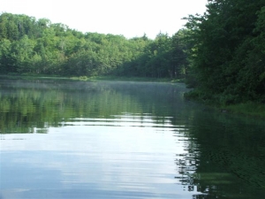 Lake_fanning10.jpg