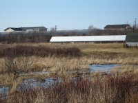 11_Notice_proximity_of_sheds_to_water_course.JPG